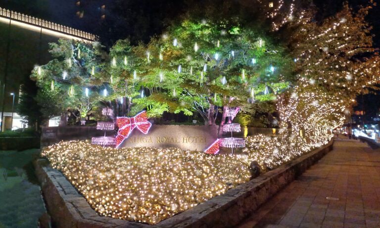 【リーガロイヤルホテル（大阪）】冬めく中之島を約50,000球のLEDライトで煌びやかにライトアップ「クリスマスイルミネーション」のメイン画像