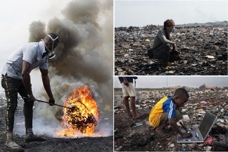 ロナウジーニョ × 長坂真護（MAGO）の世界初公開作品を出品！ 「モナコ・チャリティガラ 2025」、国際的な社会課題解決の支援者募集のお知らせのメイン画像