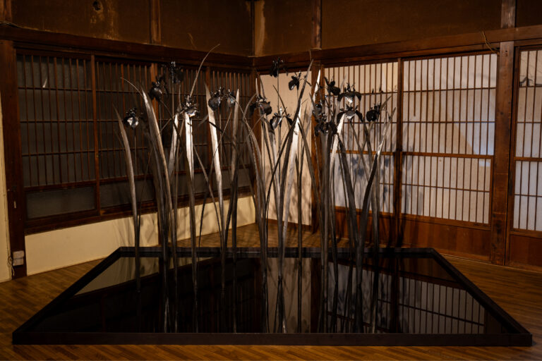 【八王子芸術祭】旅人（黄菖蒲）／ある惑星の住人（タガメ）のメイン画像