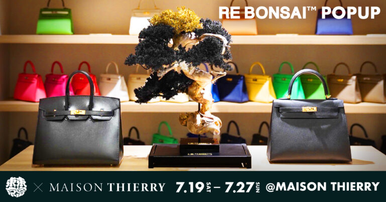 エルメス専⾨店「MAISON THIERRY」、⾊彩美と職⼈技をテーマに盆栽アート「RE BONSAI™」のワークショップを開催のメイン画像