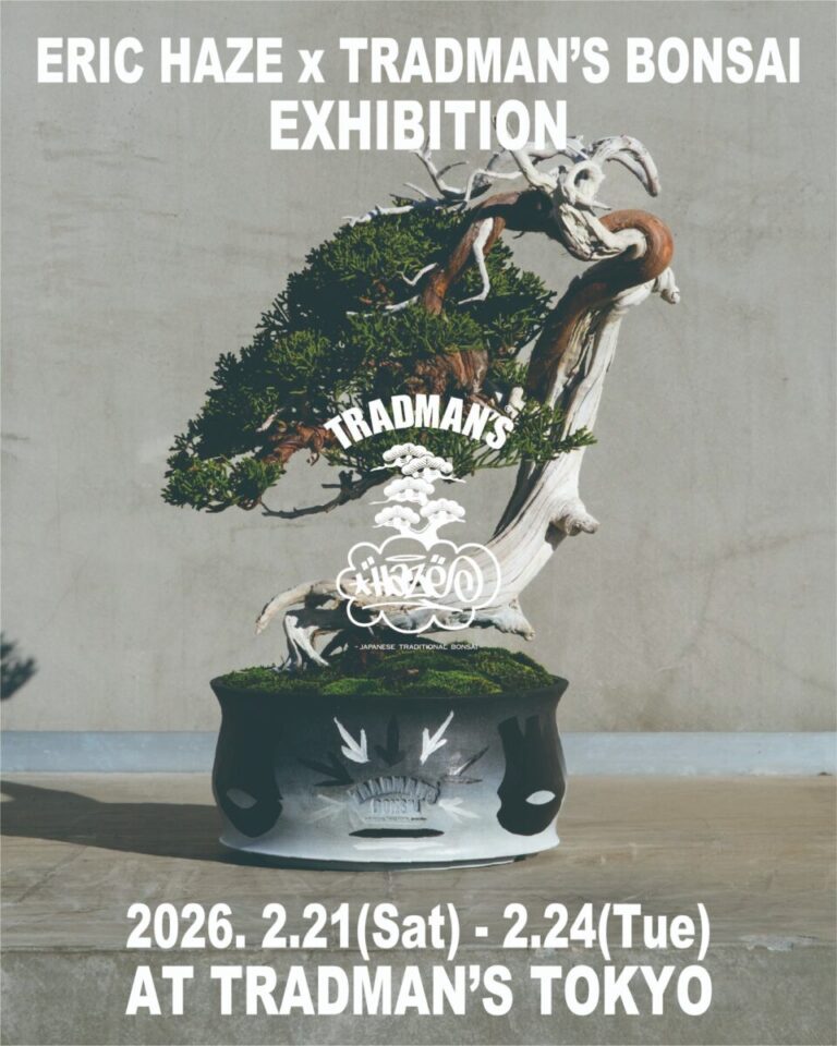 【ERIC HAZE × TRADMAN'S BONSAI】アートと盆栽が融合する新たな表現の場。東京・丸の内にてコラボレーション展覧会を開催のメイン画像