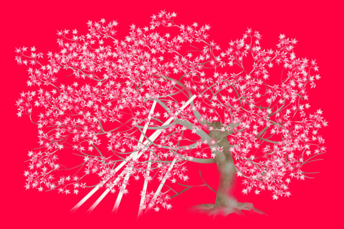 京都・東本願寺 大玄関で宇野千代ゆかりの “淡墨桜” の大屏風、千年の都・京の紅葉を描いた作品を初披露｜矢後直規が「不完全さの受容」をテーマとしたグラフィックデザインを問いなおす展覧会を開催のメイン画像