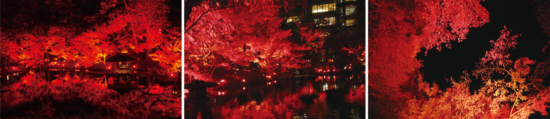 〈11/23(土・祝)〜12/15(日)開催〉八芳園の庭園を赤に染めるライトアップイベント『TOKYO RED GARDEN 2024』を開催のサブ画像2_※過去のライトアップの様子です