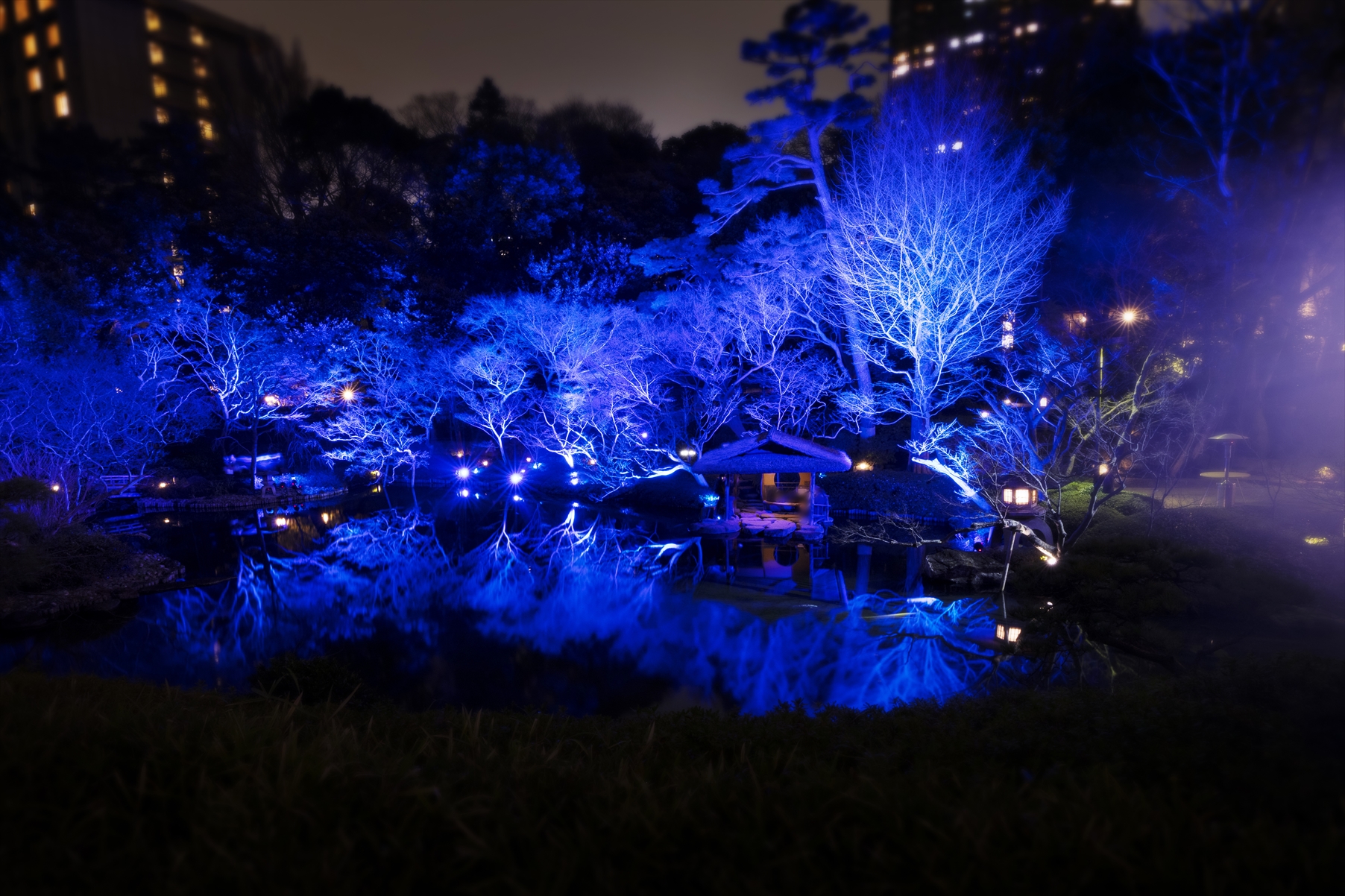 〈11/23(土・祝)〜12/15(日)開催〉八芳園の庭園を赤に染めるライトアップイベント『TOKYO RED GARDEN 2024』を開催のサブ画像7_※過去のライトアップの様子です