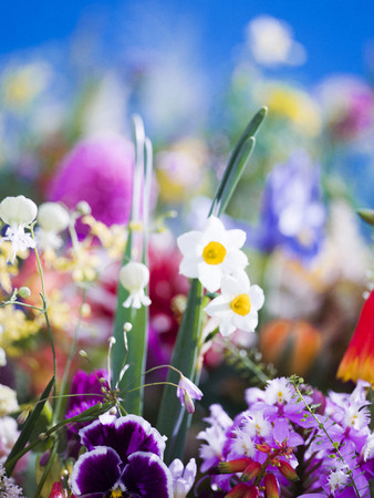 【OIL by 美術手帖】蜷川実花「花」展を10月7日（木）より開催。人気シリーズ「earthly flowers, heavenly colors」と「FLOWER ADDICT」を展示。のサブ画像4_蜷川実花《earthly flowers, heavenly colors》（2017） C-print mounted on plexiglas ©mika ninagawa, Courtesy of Tomio Koyama Gallery