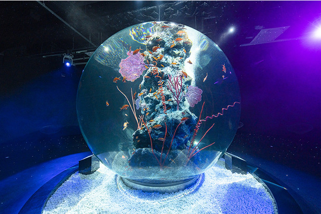 神戸の次世代水族館 アトア(átoa) が10/29いよいよOPEN！ のサブ画像1_日本最大級かつ世界屈指の規模を誇る球体水槽「AQUA TERRA」