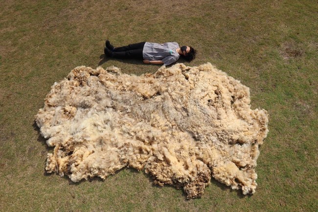東京造形大学テキスタイル専攻の学生8名によるオンライングループ展「SHIKOU展」のサブ画像4