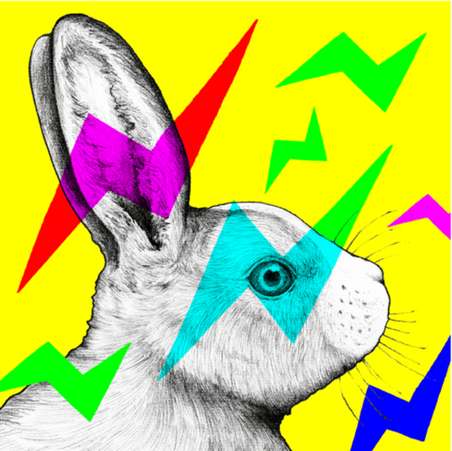 アーティストD[di:]がNFTアート「viviDanimals」をリリース。のサブ画像4_Thunder Rabbit