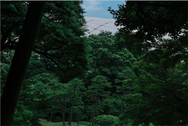 MYD GALLERY 「借景 - 隣り合うマチエール」写真展のご案内のサブ画像3