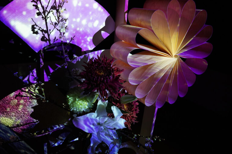 【開催中】一旗プロデュース「花とデジタルアートの祭典」第2弾「映花繚乱 Flower×Projection Mapping」を愛知県指定有形文化財・伊藤家住宅（愛知県名古屋市）で開催中。のメイン画像