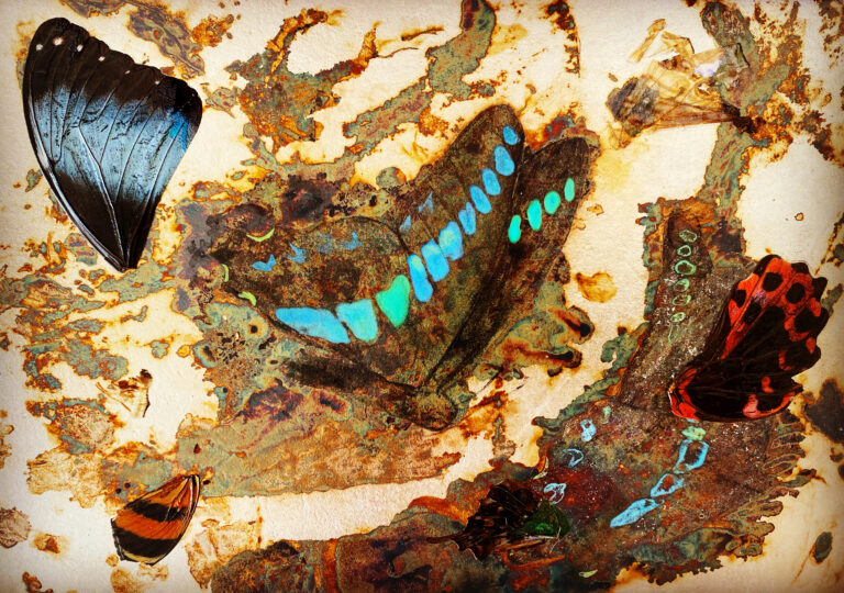 【銀座 蔦屋書店】国際的な活躍が注目される現代日本画家・大竹寛子による新作展示「Invisible Things」を1月8日（土）より開催。のメイン画像