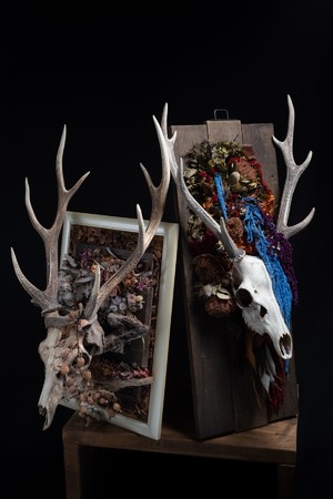 【個展開催】フラワーアートアーティスト・TAKAI YOSHIKOの個展『FLOR LIBRE（フロル リブレ）〜みんな展〜』を12月29日(水)より来年1月10日（月・祝）まで開催！のサブ画像12_「久遠（くおん）」コロとロコ