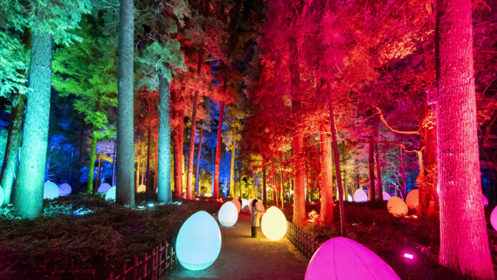 「チームラボ 偕楽園 光の祭」（茨城・水戸）、2022年も開催。開園180年の春の偕楽園をインタラクティブなアート空間に。2月1日から。会期中、3,000本の梅が次々に咲き渡る「水戸の梅まつり」も開催のメイン画像