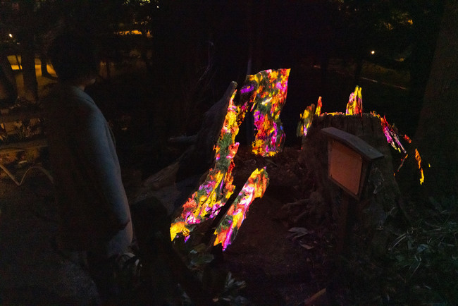 「チームラボ 偕楽園 光の祭」（茨城・水戸）、2022年も開催。開園180年の春の偕楽園をインタラクティブなアート空間に。2月1日から。会期中、3,000本の梅が次々に咲き渡る「水戸の梅まつり」も開催のサブ画像8