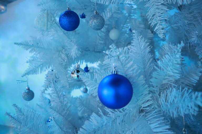 神戸の港の劇場型アクアリウム　átoa（アトア） 初めてのクリスマス企画！のメイン画像