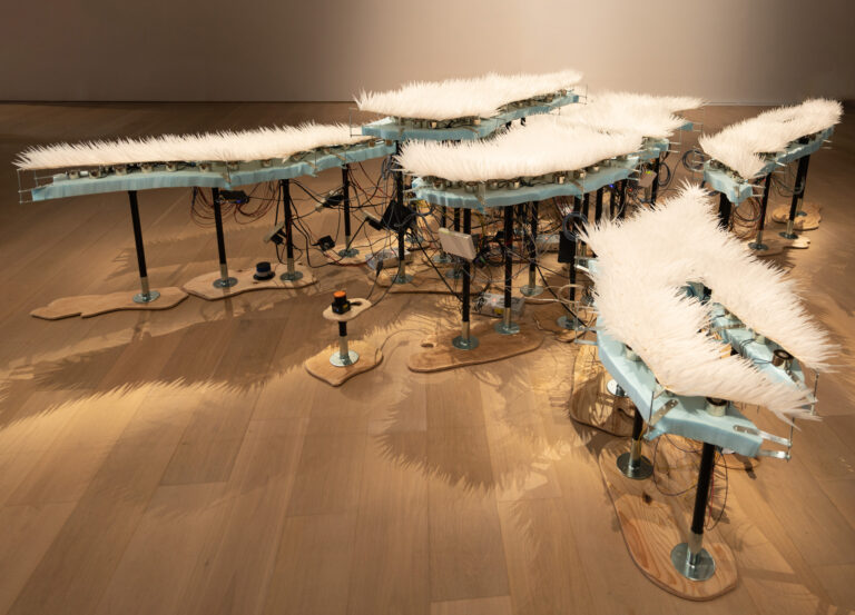 人を見つけてざわめくインスタレーション《lost in the wind rose》がKYOTO STEAM 2022にて展示のメイン画像