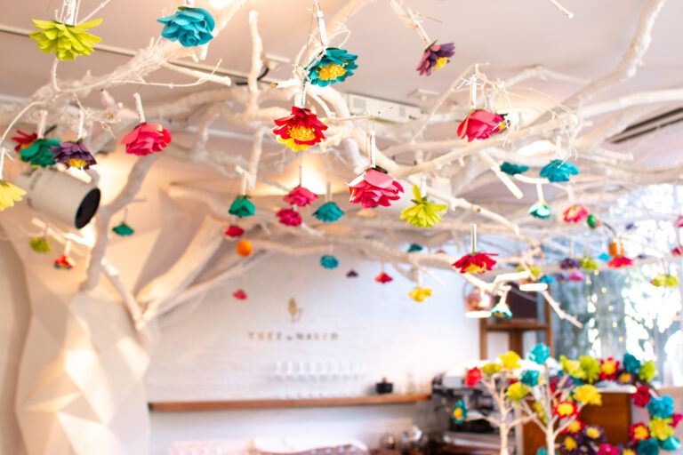 SNSで話題のNAKED花みくじ™️で年始の運試し、代々木公園のカフェで　のメイン画像