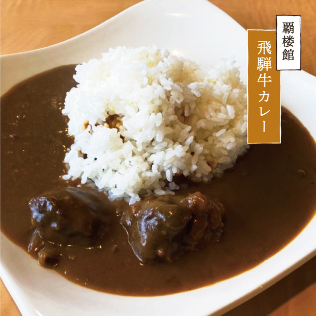日本初！？カレーと妖怪のコラボレーション。1月22日のカレーの日に、ご当地カレーが美味しく化けた『奥美濃カレー妖怪』を発表。のサブ画像14