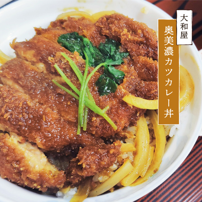 日本初！？カレーと妖怪のコラボレーション。1月22日のカレーの日に、ご当地カレーが美味しく化けた『奥美濃カレー妖怪』を発表。のサブ画像4