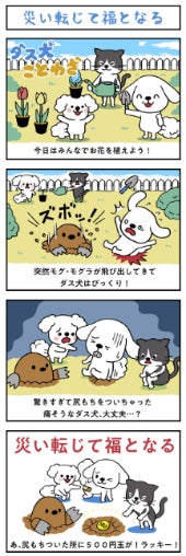 『第5回 ご当地ダス犬グッズ総選挙』のサブ画像5_コンテンツイメージ2
