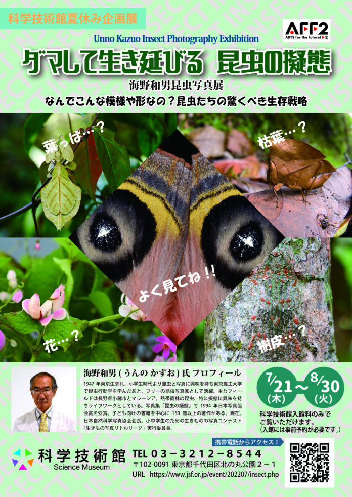 見破れるか？昆虫の生き残りをかけた高等戦略「ダマして生き延びる　昆虫の擬態」海野和男昆虫写真展のメイン画像