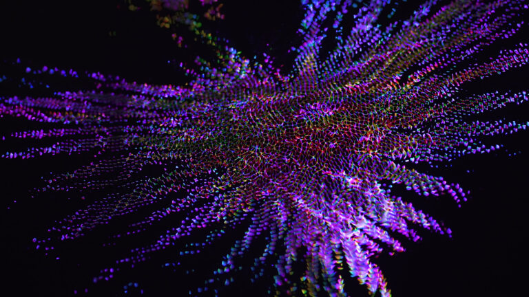 大自然のアート展「ボルボ チームラボ かみさまがすまう森」に、虹色に輝きながら光がうごめく新作が登場。7月15日から九州・御船山楽園で開催。のメイン画像