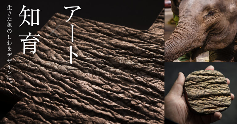 世界初！生きている象から型取りした「しわ」で、空間に美しい生命感を。のメイン画像