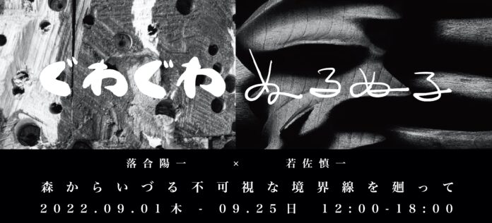 落合陽一 × 若佐慎一 ぐわぐわぬるぬる : 森からいづる不可視な境界線を廻ってのメイン画像