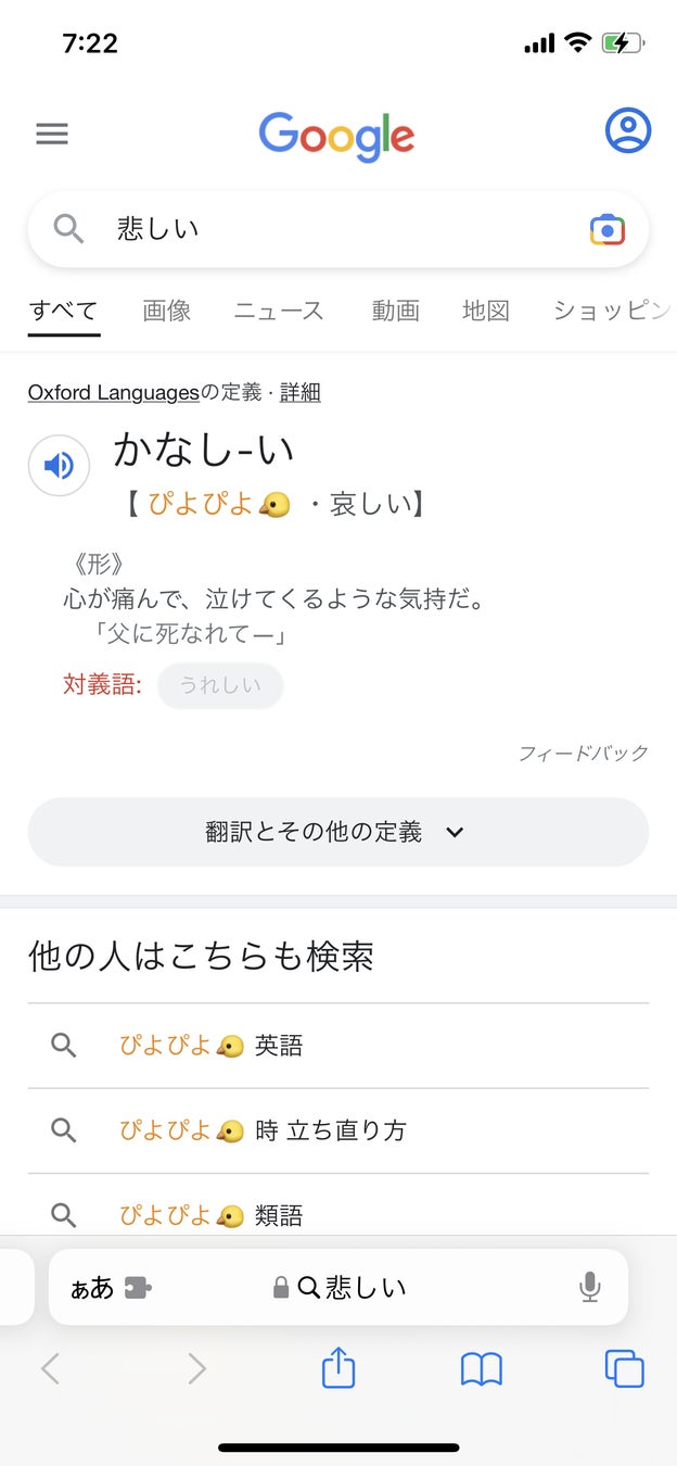 「ひよこフィルター」スマホ版、実現不可能に思われたが開発成功｜メンタルの弱い社長が作った、苦手な言葉をひよこに変えるアプリのサブ画像3_Safariなら何でも変換可能