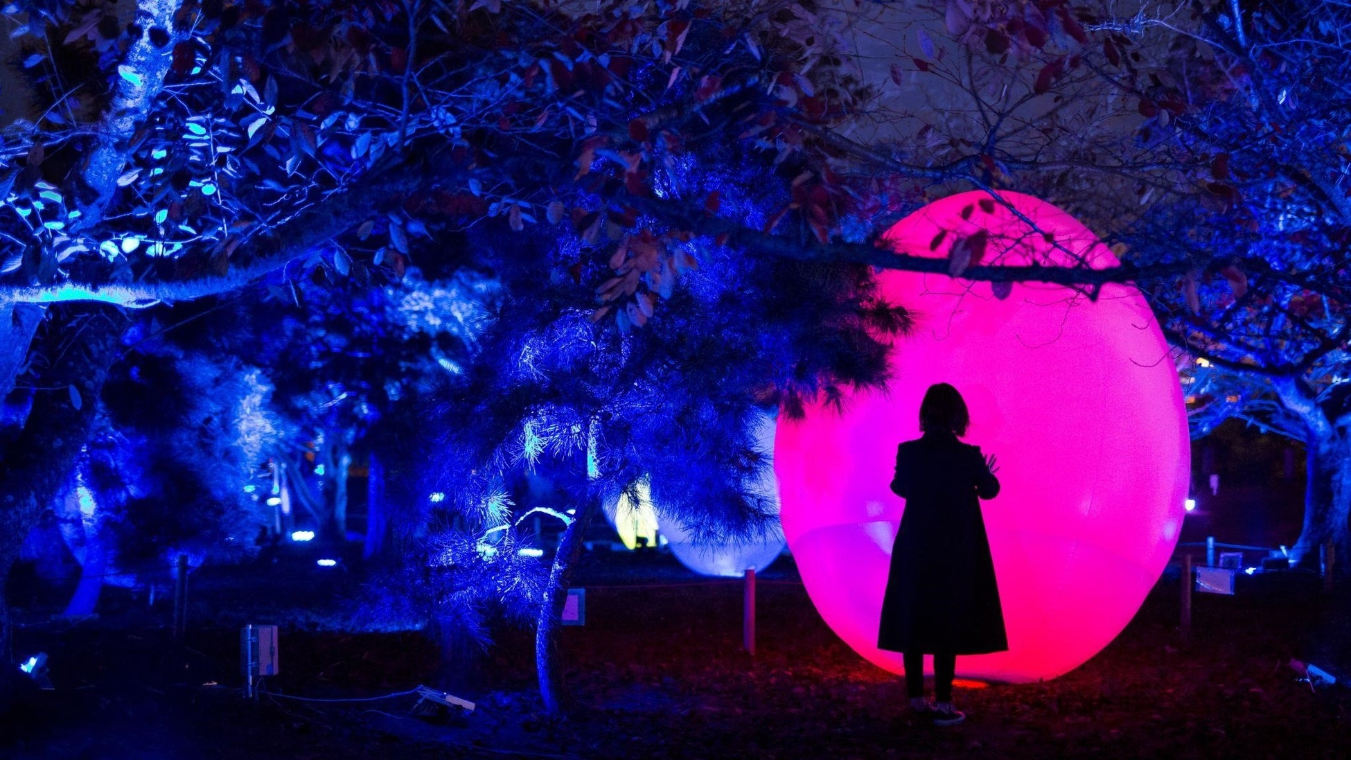 RCC開局70年イベント「チームラボ 福山城 光の祭」を12月2日から開催のサブ画像2_チームラボ《石垣に住まう花と共に生きる動物達》©チームラボ ※参考画像