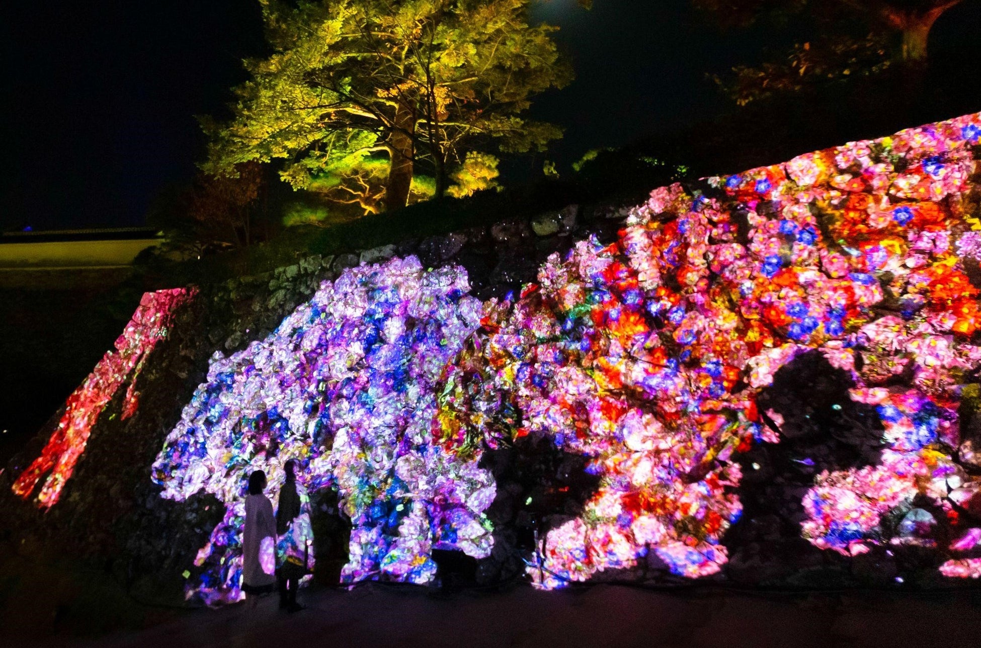 RCC開局70年イベント「チームラボ 福山城 光の祭」を12月2日から開催のサブ画像4_チームラボ《呼応する木々》©チームラボ ※参考画像