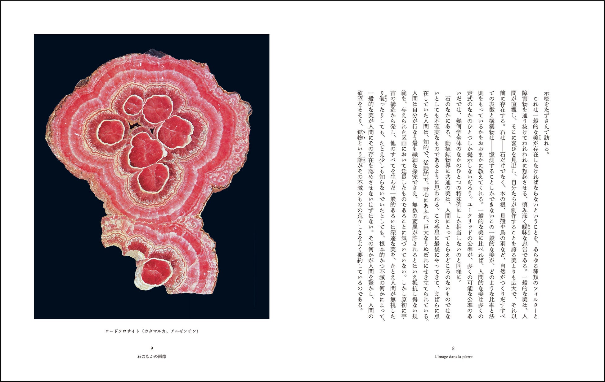 長らく入手困難であった美しい名著を、新たな翻訳で刊行！　ロジェ・カイヨワ著『石が書く』のサブ画像2_「石のなかの画像」より