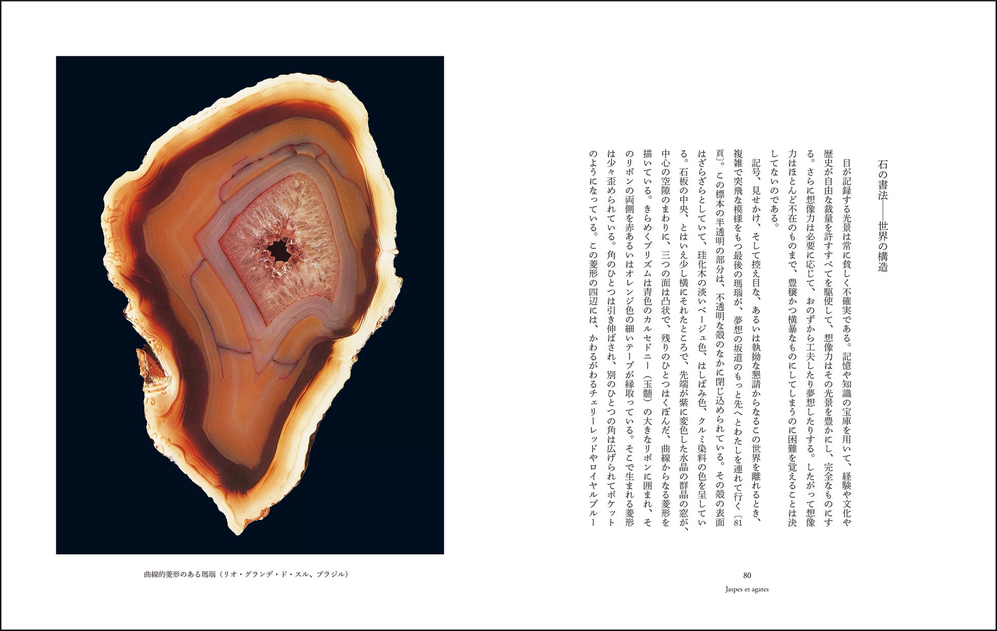 長らく入手困難であった美しい名著を、新たな翻訳で刊行！　ロジェ・カイヨワ著『石が書く』のサブ画像5_「石の書法——世界の構造」より