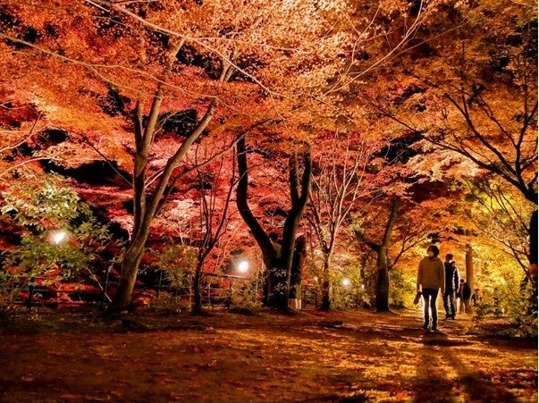 「おかやま秋旅キャンペーン」を開催します！のサブ画像6