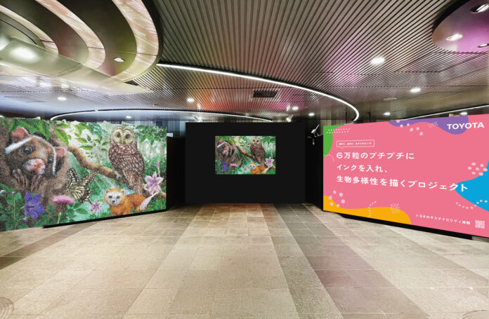 約6万粒の「プチプチ®」でアートを描くチャレンジ！？トヨタのサステナビリティ実験 「#生態系プチプチアート」SDGsが採択された9月に、渋谷で15日(木)~21日(水)まで展示のメイン画像