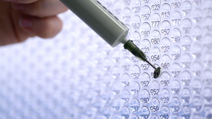 約6万粒の「プチプチ®」でアートを描くチャレンジ！？トヨタのサステナビリティ実験 「#生態系プチプチアート」SDGsが採択された9月に、渋谷で15日(木)~21日(水)まで展示のサブ画像4