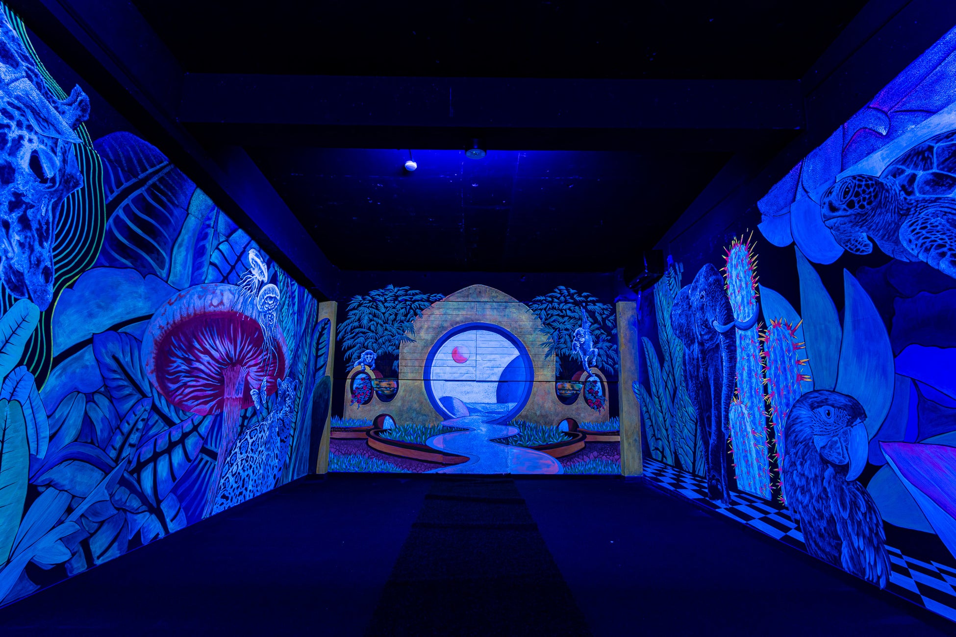 栃木県那須町の廃校をアートリノベーション!のサブ画像15