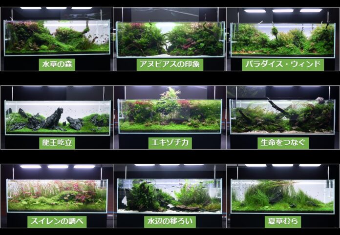オンライン解説ツアーを開催「ネイチャーアクアリウム展2022⼤阪」ADA水景クリエイターが展示作品を徹底解説！のメイン画像