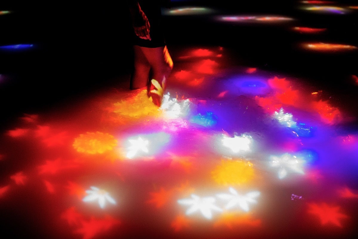 東京・豊洲のチームラボプラネッツ、花と一体化する庭園の作品《Floating Flower Garden》にて、世界にひとつしかない日本最大級のランを公開。のサブ画像10_チームラボ《人と共に踊る鯉によって描かれる水面のドローイング》©チームラボ