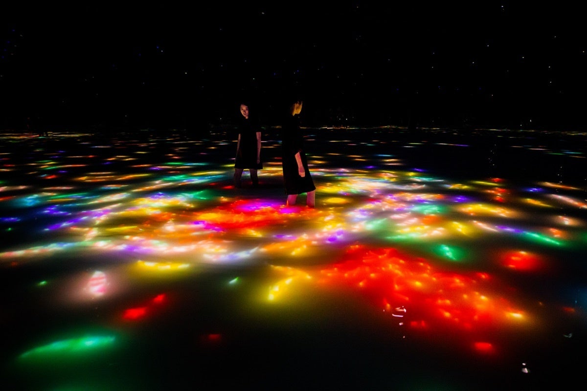 東京・豊洲のチームラボプラネッツ、花と一体化する庭園の作品《Floating Flower Garden》にて、世界にひとつしかない日本最大級のランを公開。のサブ画像11_チームラボ《人と共に踊る鯉によって描かれる水面のドローイング》©チームラボ