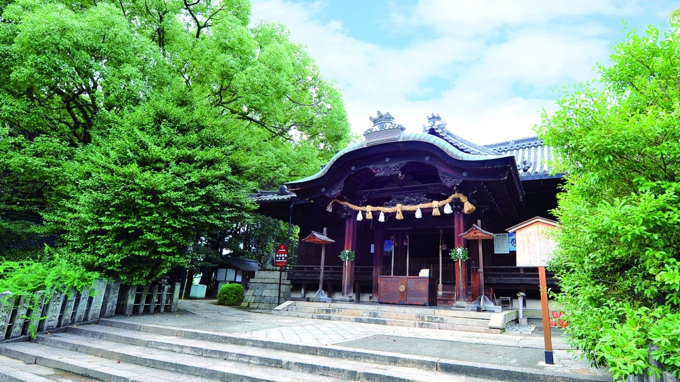 京都府域展開アートプロジェクト 　ALTERNATIVE KYOTO 　-もうひとつの京都–　Artspace of the lightのサブ画像2