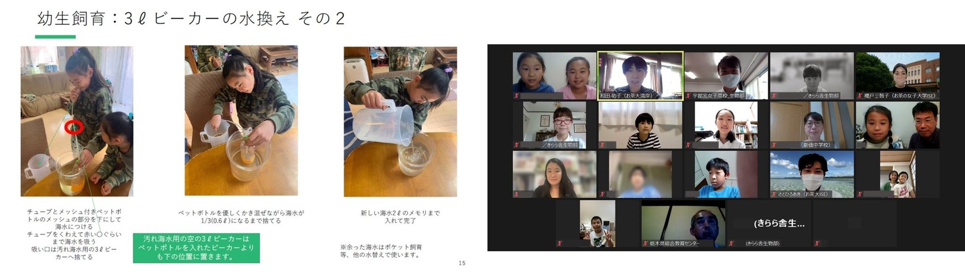 学校授業用の教材発送と一般向けの体験イベントを同時開催し、ウニ（タコノマクラ）の発生実験を通して海を学び、海を表現しました！全国一斉ウニの発生体験　2022年夏のサブ画像3_(左)オンライン相談会　特別講師の小学生による研修　（右）7月28日の報告会　参加者記念撮影