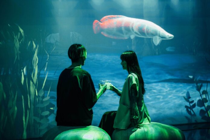 平日17:45からはお酒を片手に“生き物に触れる時間“を楽しめるNight ZUKAN MUSEUM GINZA ご好評につき、会期延長決定！！のメイン画像