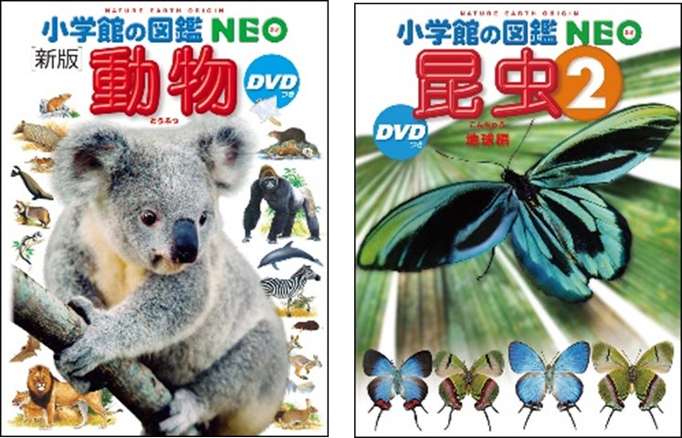 平日17:45からはお酒を片手に“生き物に触れる時間“を楽しめるNight ZUKAN MUSEUM GINZA ご好評につき、会期延長決定！！のサブ画像3