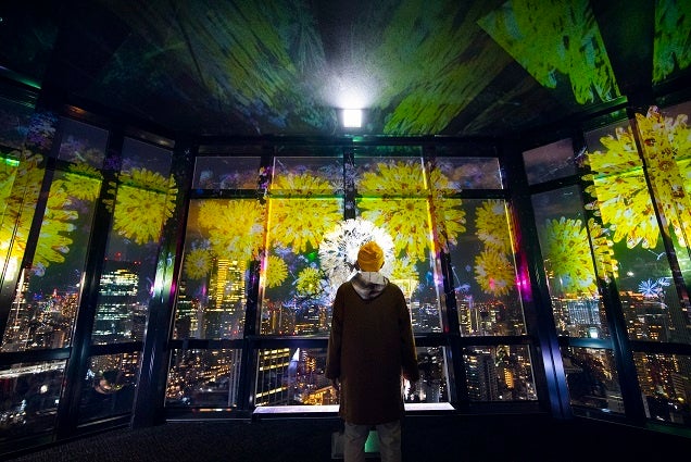 ネイキッド×東京タワーのハロウィンマッピングショーのサブ画像2