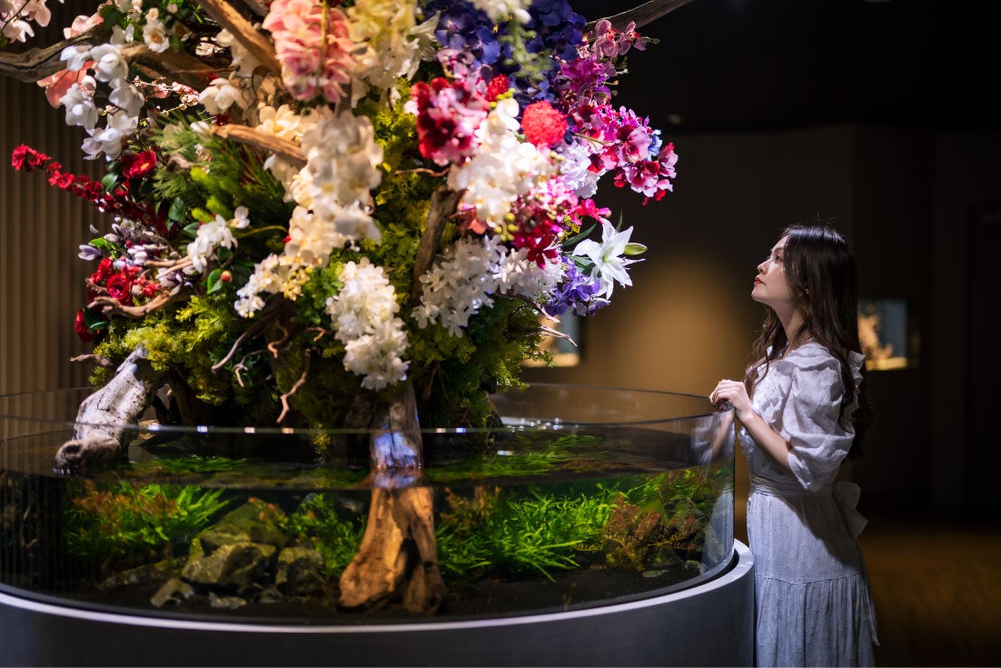 【AQUARIUM×ART átoa（アトア）】アトアの隠れた人気コンテンツ 「楽しく学べるアート」が静岡の百貨店内に出張展示！のサブ画像2_「和む ”NAGOMU”」エリアの中央にある印象的な生け花水槽