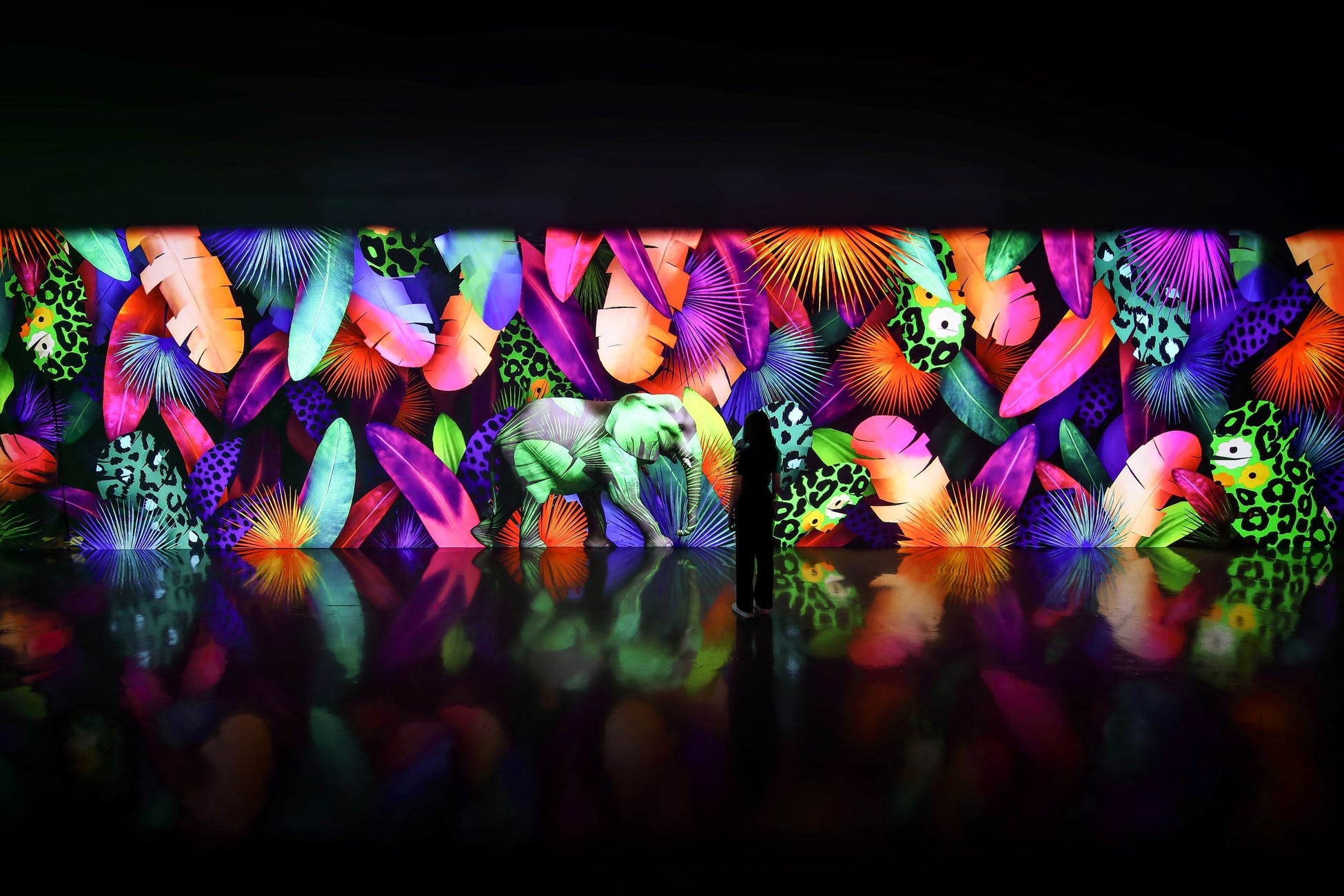 この秋に香港で開催されるアートイベントの最新情報のサブ画像2_Jungle Tropic © Dstrict