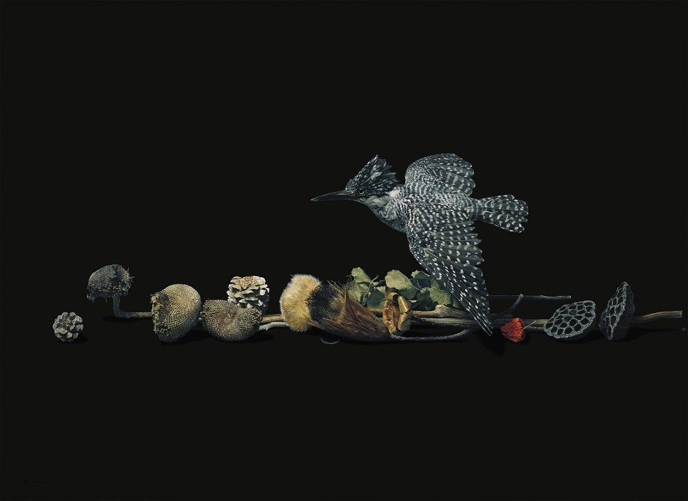 北海道在住で日本を代表する写実画家・野田弘志の画業の全容に迫る回顧展。2022年11月札幌芸術の森美術館で開催！のサブ画像3_《やませみ》1971年、油彩・板、豊橋市美術博物館