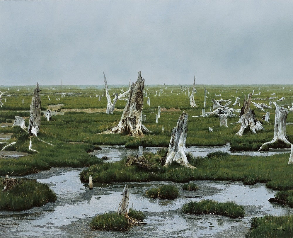 北海道在住で日本を代表する写実画家・野田弘志の画業の全容に迫る回顧展。2022年11月札幌芸術の森美術館で開催！のサブ画像6_《トドワラ（北海道野付半島・8月）》1990年、油彩・カンヴァス、法人蔵