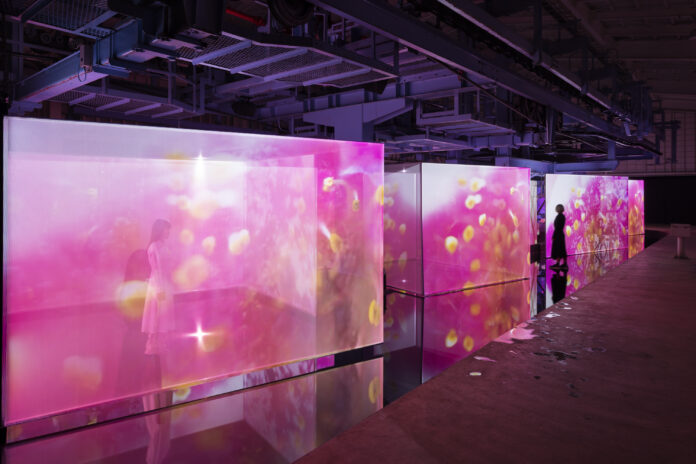 博展、蜷川実花氏・宮田裕章氏との共同プロジェクト【安比Art project 「胡蝶の旅 Embracing Lights」】が安比高原スキー場にて開催中のメイン画像